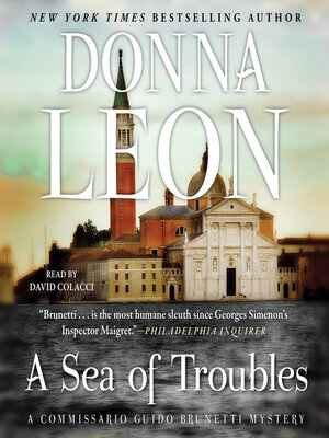 cover image of A Sea of Troubles